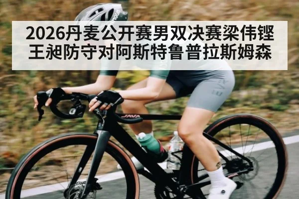2026丹麦公开赛男双决赛梁伟铿王昶防守对阿斯特鲁普拉斯姆森